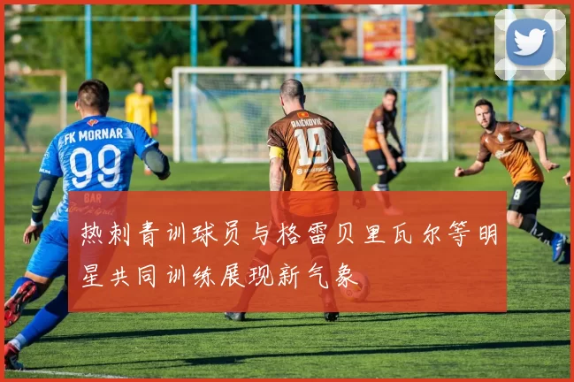 热刺青训球员与格雷贝里瓦尔等明星共同训练展现新气象
